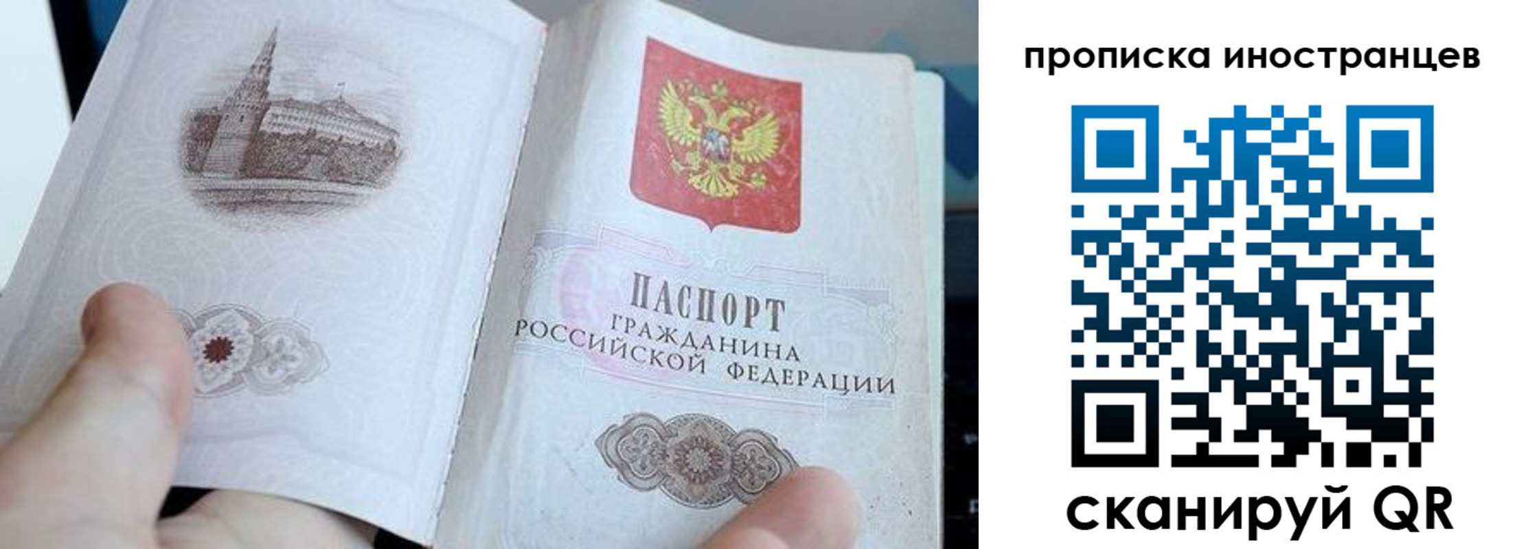 прописка поиск в Знаменске